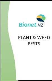 PLANT7